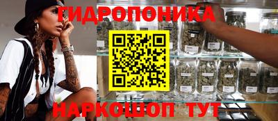 спиды Партизанск
