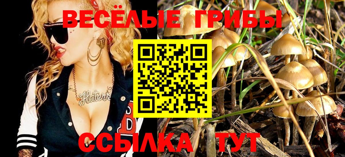 Галлюциногенные грибы Magic Shrooms  Вход с VPN  Соль-Илецк 