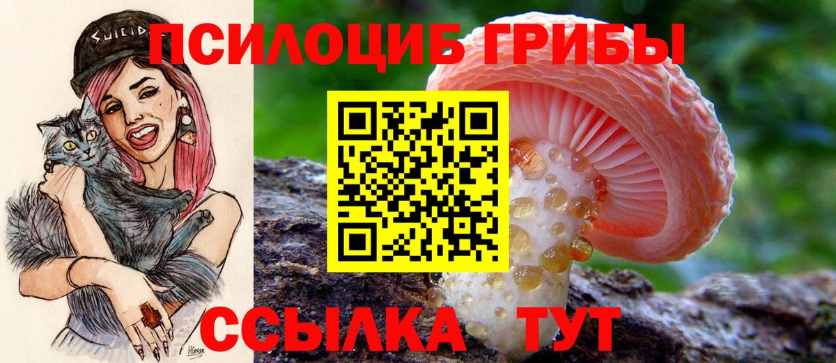 Псилоцибиновые грибы прущие грибы Соль-Илецк